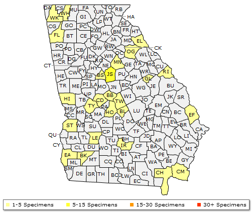 The range of Quercus shumardii